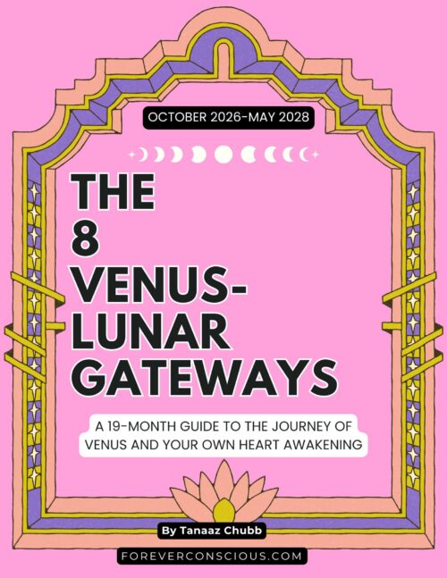 Eight lunar gateways of Venus